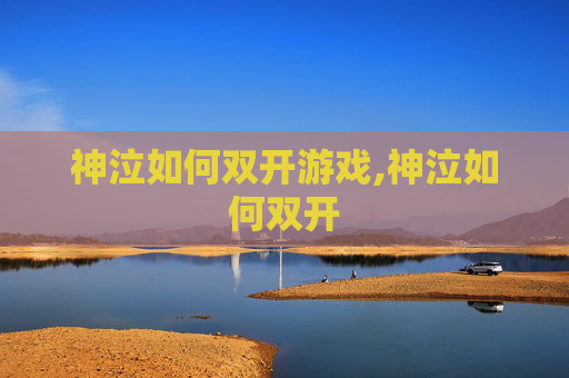 神泣如何双开游戏,神泣如何双开 神泣如何双开游戏,神泣如何双开