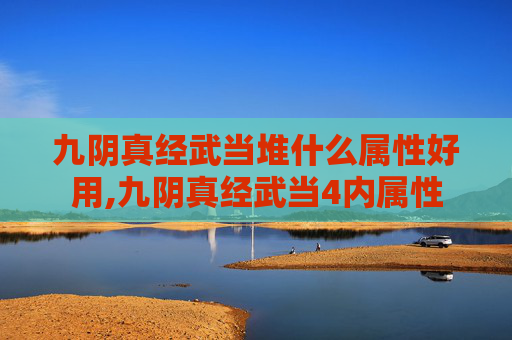 九阴真经武当堆什么属性好用,九阴真经武当4内属性