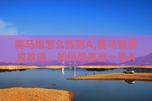 赛马娘怎么练到A,赛马娘养成攻略，如何培养出一匹A级赛马