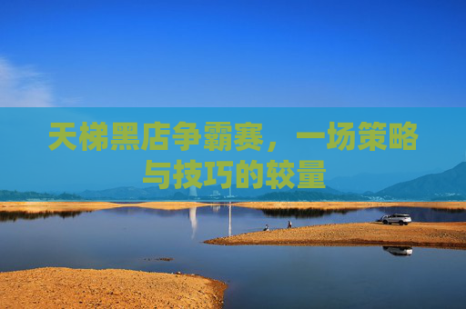 天梯黑店争霸赛，一场策略与技巧的较量