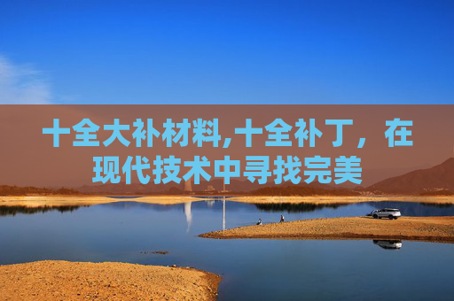 十全大补材料,十全补丁，在现代技术中寻找完美