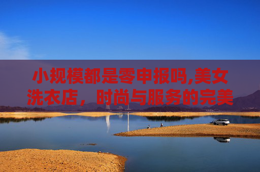 小规模都是零申报吗,美女洗衣店,时尚与服务的完美结合 小规模都是零申报吗,美女洗衣店,时尚与服务的完美结合