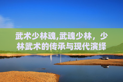 武术少林魂,武魂少林,少林武术的传承与现代演绎