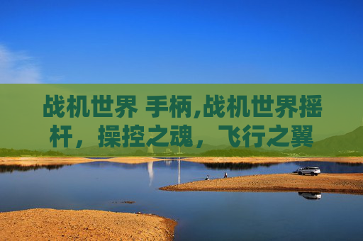 战机世界 手柄,战机世界摇杆，操控之魂，飞行之翼