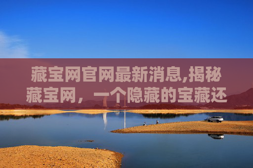 藏宝网官网最新消息,揭秘藏宝网,一个隐藏的宝藏还是危险的陷阱?