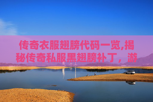 传奇衣服翅膀代码一览,揭秘传奇私服黑翅膀补丁，游戏更新背后的真相