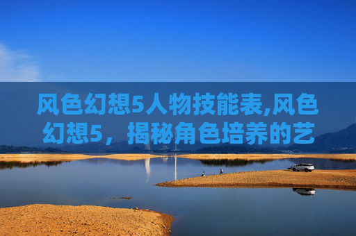 风色幻想5人物技能表,风色幻想5，揭秘角色培养的艺术