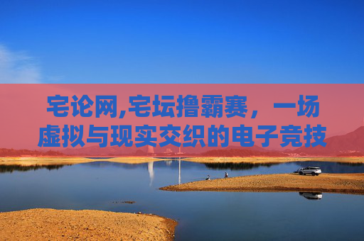 宅论网,宅坛撸霸赛，一场虚拟与现实交织的电子竞技盛宴
