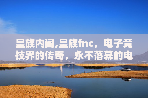 皇族内阁,皇族fnc，电子竞技界的传奇，永不落幕的电竞盛宴