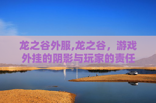 龙之谷外服,龙之谷，游戏外挂的阴影与玩家的责任