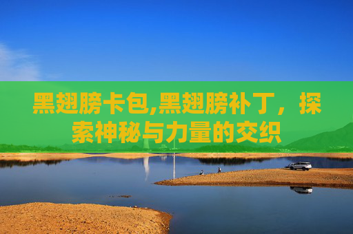 黑翅膀卡包,黑翅膀补丁，探索神秘与力量的交织
