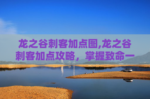 龙之谷刺客加点图,龙之谷刺客加点攻略，掌握致命一击的秘诀