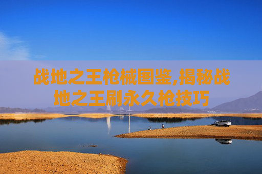 战地之王枪械图鉴,揭秘战地之王刷永久枪技巧