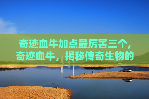 奇迹血牛加点最厉害三个,奇迹血牛，揭秘传奇生物的奥秘