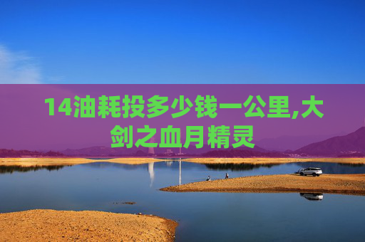 14油耗投多少钱一公里,大剑之血月精灵