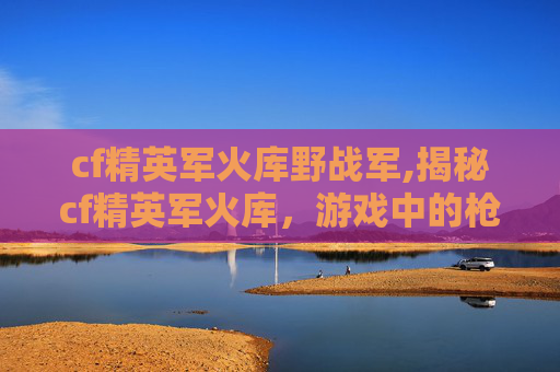 cf精英军火库野战军,揭秘cf精英军火库，游戏中的枪械收藏与策略