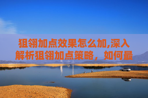 狙翎加点效果怎么加,深入解析狙翎加点策略，如何最大化你的游戏表现