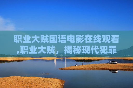 职业大贼国语电影在线观看,职业大贼,揭秘现代犯罪世界的幕后黑手