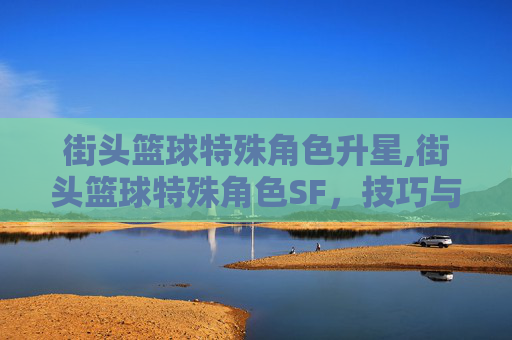 街头篮球特殊角色升星,街头篮球特殊角色SF,技巧与策略的完美结合 街头篮球特殊角色升星,街头篮球特殊角色SF,技巧与策略的完美结合