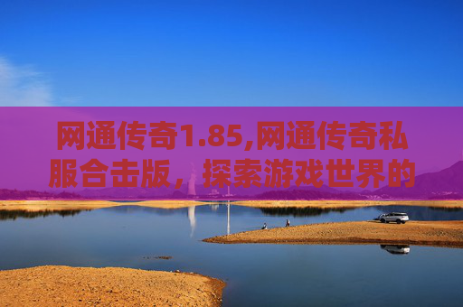 网通传奇1.85,网通传奇私服合击版,探索游戏世界的无限可能