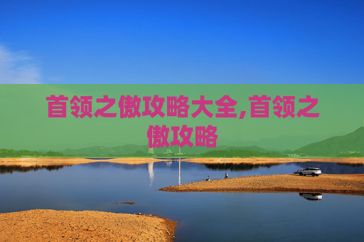 首领之傲攻略大全,首领之傲攻略