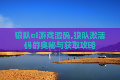 狼队ol游戏源码,狼队激活码的奥秘与获取攻略