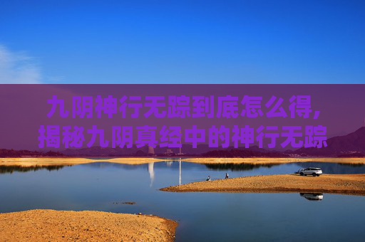九阴神行无踪到底怎么得,揭秘九阴真经中的神行无踪技巧 九阴神行无踪到底怎么得,揭秘九阴真经中的神行无踪技巧