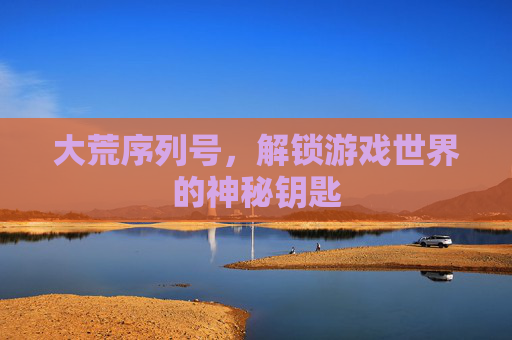 大荒序列号，解锁游戏世界的神秘钥匙