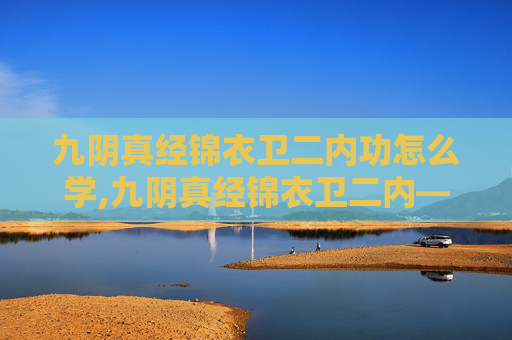 九阴真经锦衣卫二内功怎么学,九阴真经锦衣卫二内——揭秘武侠世界中的神秘力量 九阴真经锦衣卫二内功怎么学,九阴真经锦衣卫二内——揭秘武侠世界中的神秘力量