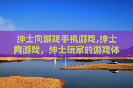 绅士向游戏手机游戏,绅士向游戏，绅士玩家的游戏体验与文化现象