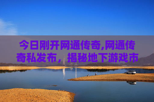 今日刚开网通传奇,网通传奇私发布，揭秘地下游戏市场的秘密