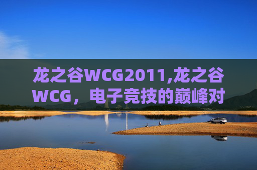 龙之谷WCG2011,龙之谷WCG，电子竞技的巅峰对决