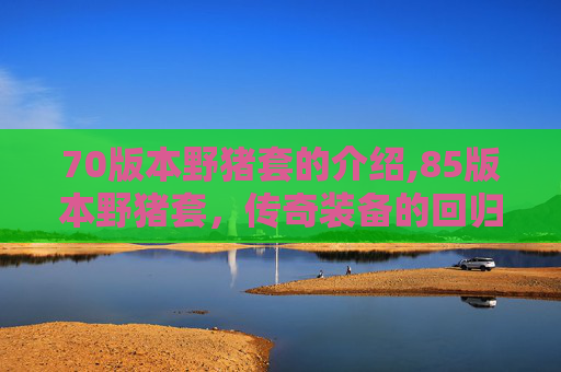 70版本野猪套的介绍,85版本野猪套，传奇装备的回归与挑战