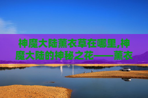 神魔大陆薰衣草在哪里,神魔大陆的神秘之花——薰衣草