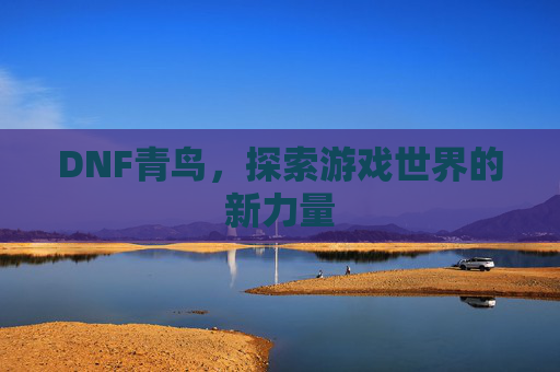 DNF青鸟，探索游戏世界的新力量