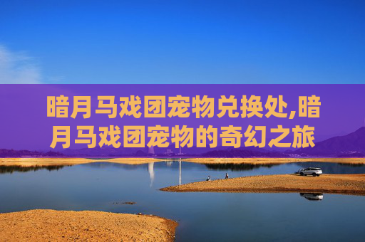 暗月马戏团宠物兑换处,暗月马戏团宠物的奇幻之旅