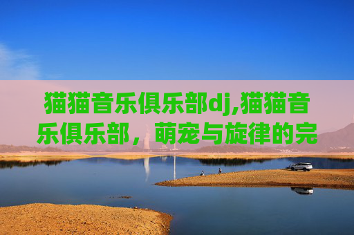 猫猫音乐俱乐部dj,猫猫音乐俱乐部，萌宠与旋律的完美邂逅