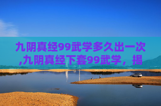九阴真经99武学多久出一次,九阴真经下套99武学，揭秘武侠世界中的终极秘籍