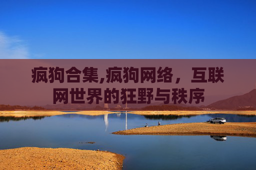 疯狗合集,疯狗网络，互联网世界的狂野与秩序