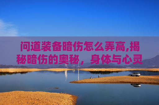 问道装备暗伤怎么弄高,揭秘暗伤的奥秘，身体与心灵的隐秘之痛