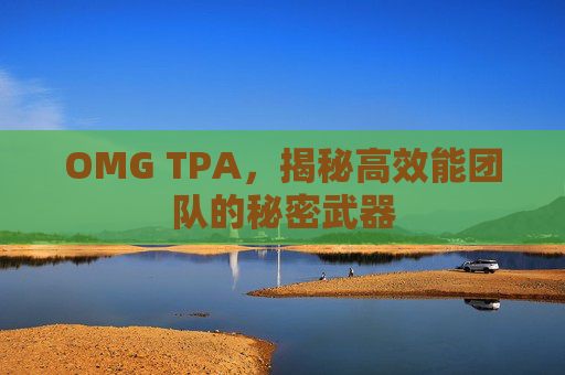 OMG TPA，揭秘高效能团队的秘密武器