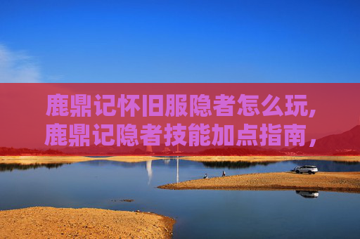 鹿鼎记怀旧服隐者怎么玩,鹿鼎记隐者技能加点指南，提升实力的秘诀