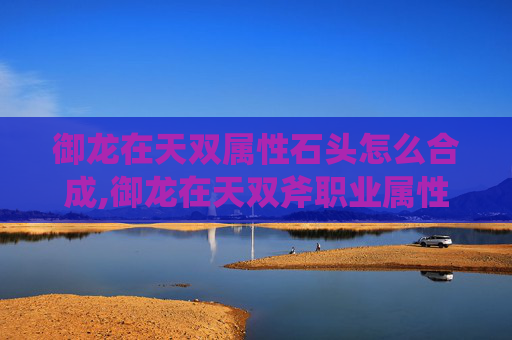御龙在天双属性石头怎么合成,御龙在天双斧职业属性加点指南