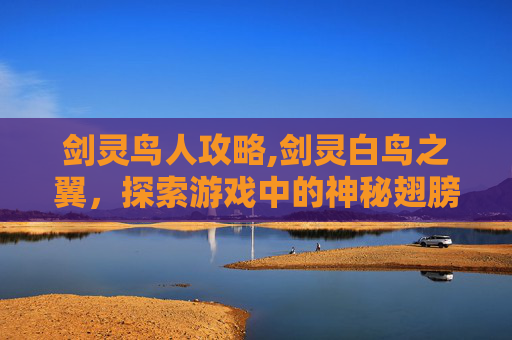 剑灵鸟人攻略,剑灵白鸟之翼，探索游戏中的神秘翅膀