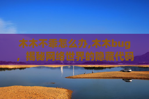 木木不乖怎么办,木木bug,揭秘网络世界的隐藏代码 木木不乖怎么办,木木bug,揭秘网络世界的隐藏代码