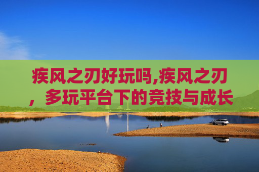 疾风之刃好玩吗,疾风之刃，多玩平台下的竞技与成长