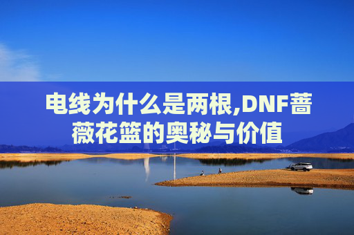 电线为什么是两根,DNF蔷薇花篮的奥秘与价值