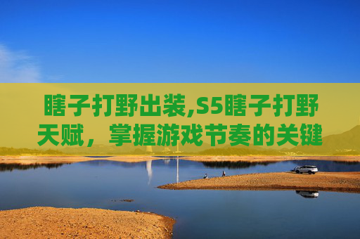 瞎子打野出装,S5瞎子打野天赋，掌握游戏节奏的关键