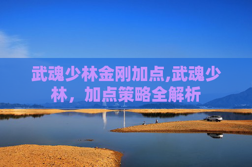 武魂少林金刚加点,武魂少林，加点策略全解析
