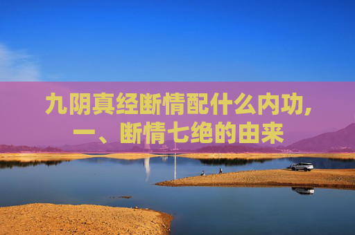 九阴真经断情配什么内功,一、断情七绝的由来